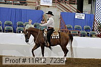 11r12_7235 proof