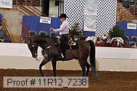 11r12_7238 proof