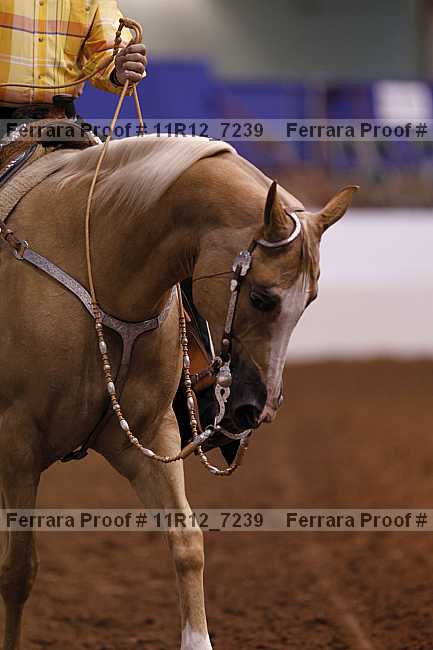Proof 11r12_7239