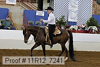 11r12_7241 proof