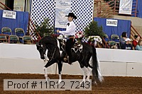 11r12_7243 proof