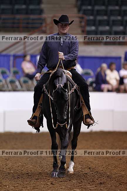 Proof 11r12_7245