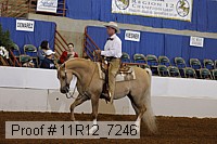 11r12_7246 proof