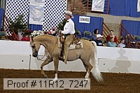 11r12_7247 proof