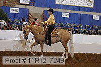 11r12_7249 proof