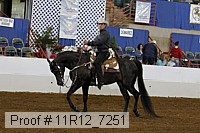 11r12_7251 proof