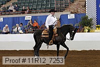 11r12_7253 proof
