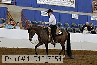 11r12_7254 proof