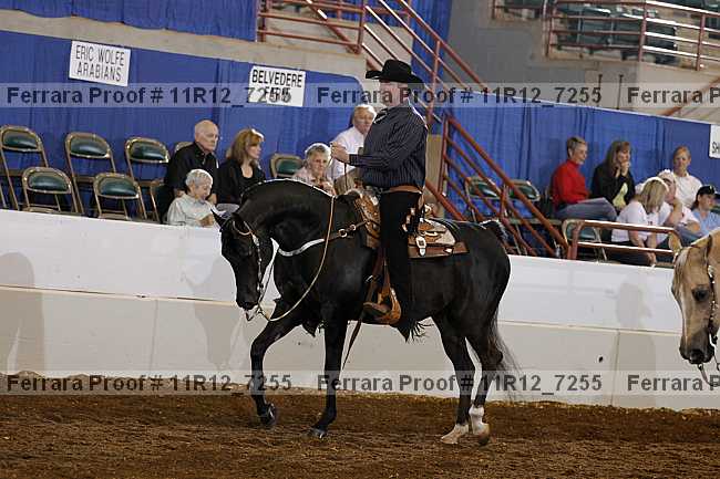 Proof 11r12_7255