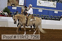 11r12_7256 proof