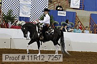 11r12_7257 proof