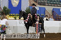 11r12_7259 proof