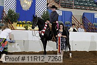 11r12_7260 proof
