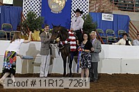 11r12_7261 proof