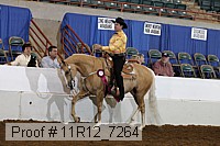 11r12_7264 proof