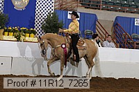 11r12_7265 proof