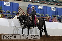 11r12_7267 proof