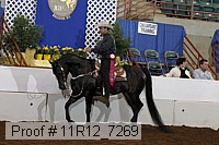 11r12_7269 proof