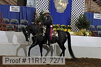 11r12_7271 proof