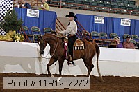 11r12_7272 proof