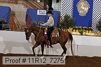 11r12_7275 proof