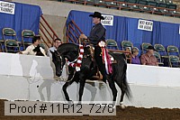 11r12_7278 proof