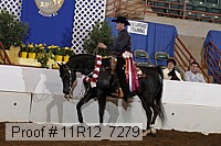 11r12_7279 proof
