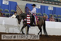 11r12_7281 proof