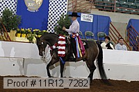 11r12_7282 proof