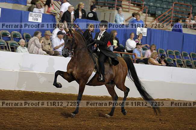 Proof 11r12_7285