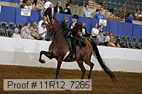 11r12_7285 proof