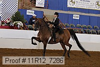 11r12_7286 proof