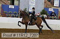 11r12_7287 proof