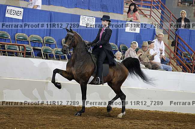 Proof 11r12_7289