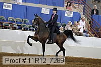 11r12_7289 proof