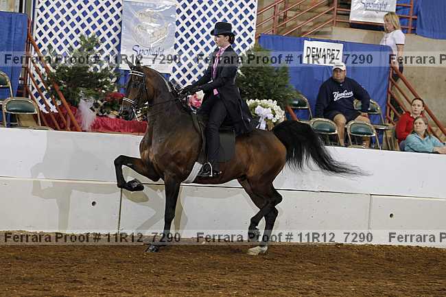 Proof 11r12_7290