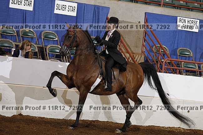 Proof 11r12_7292