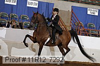 11r12_7292 proof