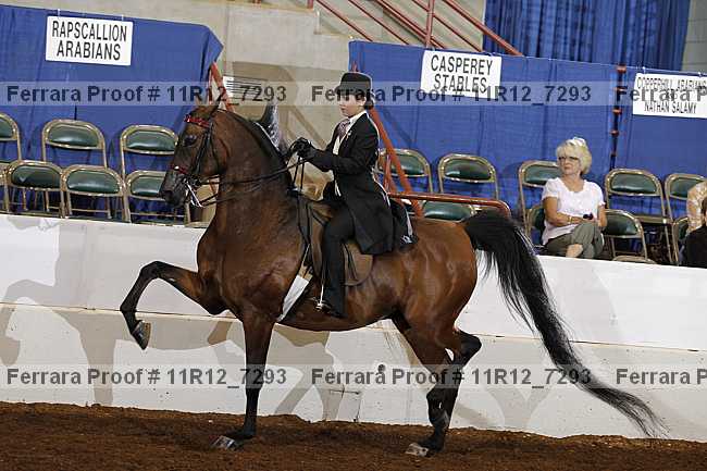 Proof 11r12_7293