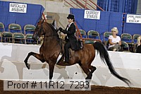 11r12_7293 proof