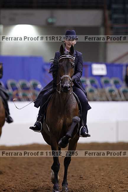 Proof 11r12_7295