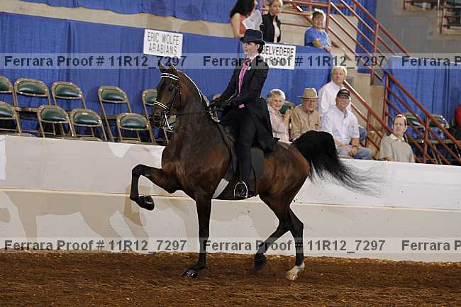 Proof 11r12_7297