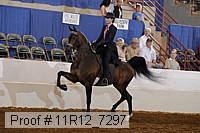 11r12_7297 proof