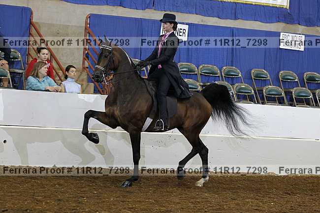 Proof 11r12_7298