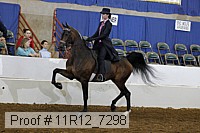 11r12_7298 proof