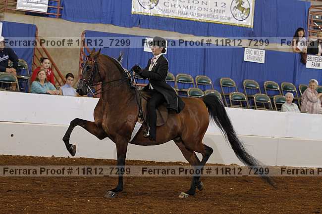 Proof 11r12_7299