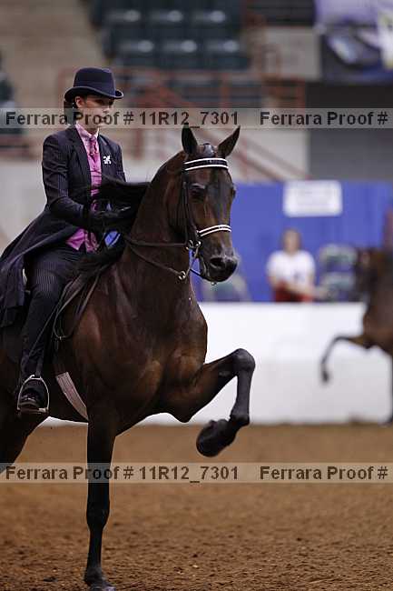 Proof 11r12_7301