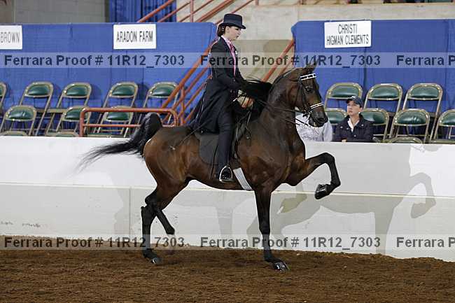 Proof 11r12_7303