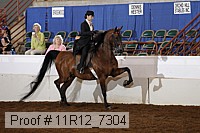 11r12_7304 proof
