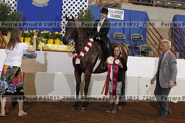 Proof 11r12_7309